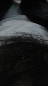 Alpha Superiority Pubic Hair