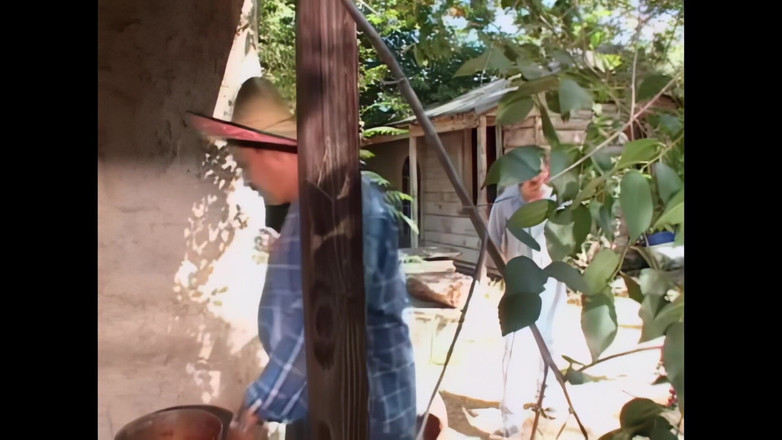 Blitzporn: Melody Max: Tânără, sâni mari naturali, multă dorință de orgasm