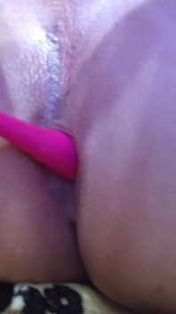 Game with Anal Plug