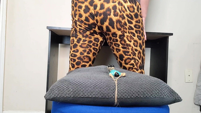 Julia Ryan: Poskakující prdy ven