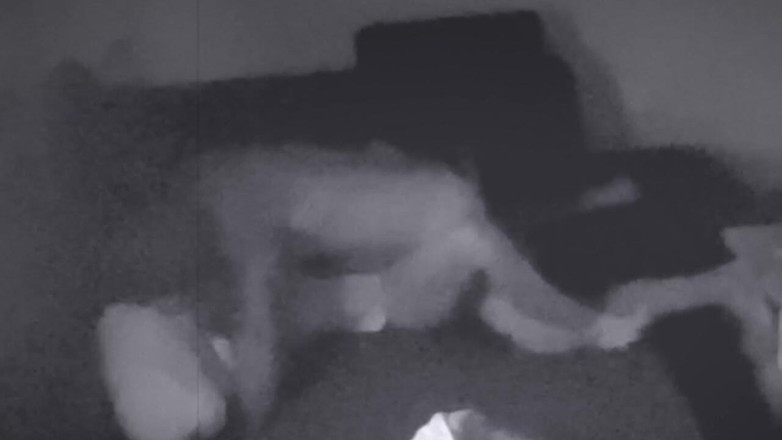 Lusty Mommy and Dirty Daddy: Důkaz, dohledová kamera natáčí podvádějící manželku se sousedem