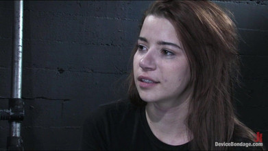 Device Bondage by Kink: La cruz marca el sitio