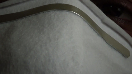 The Cassie Chronicles: Coronavirus chronicles 1 in need of toilet paper