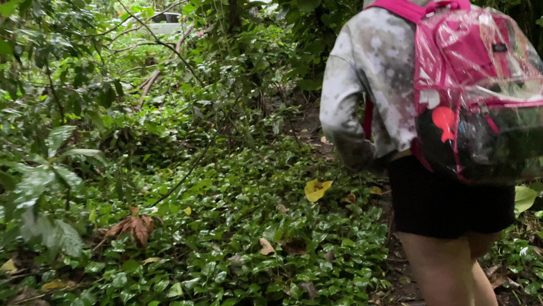 Dante Colle: Смоктання члена в тропічному лісі