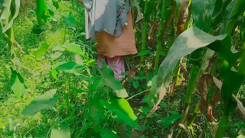 Deshi women: Gaon's Desi Chudai Jungle Mein Mangal
