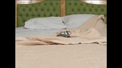 The Power of Love: बेलिन्हा बाराचो: द डिसहोस्टिंग लिटिल वेश्या