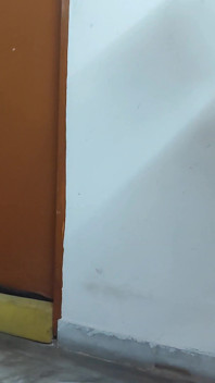 Zábavné, jak zvýšit výdrž