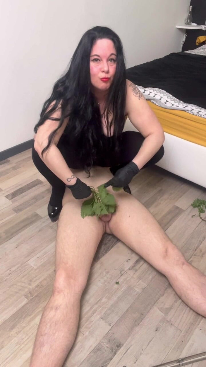 Maitresse Clara: यह बिछुआ को डंक मारता है...