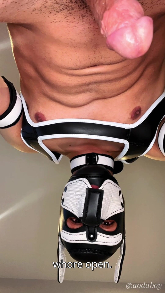Alpha Pup Hood Dominate You (Aodaboy) Alpha Pup Hood Dominate You (Aodaboy)
