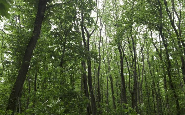 Mesmeriza: Mesmeriza Forest Walk