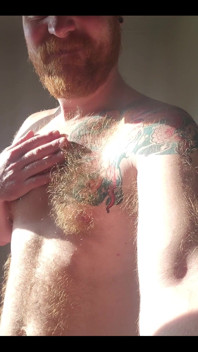 Morning Sun