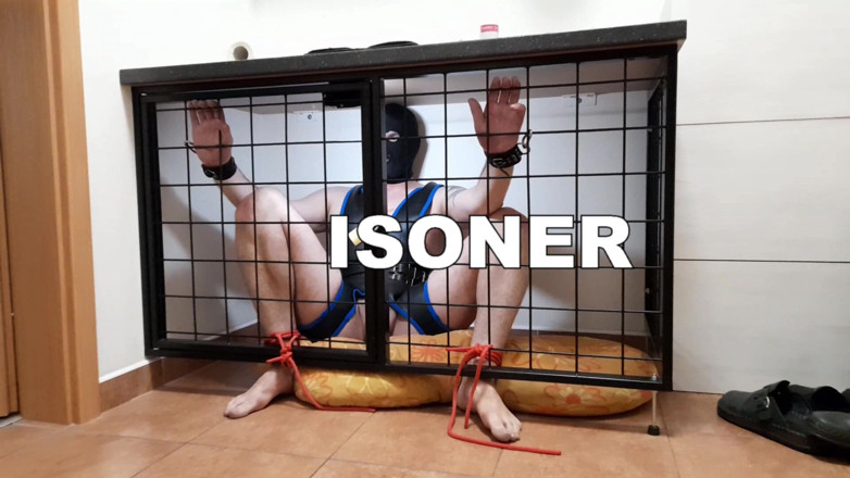 Master Drex: Prisoner...