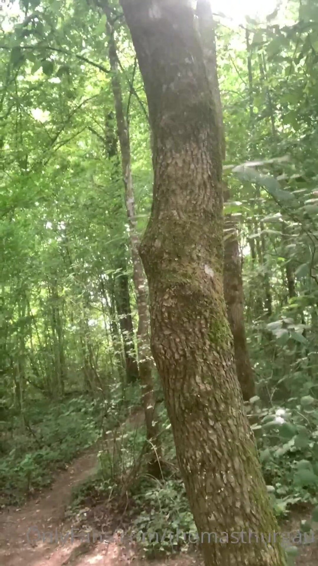 Once Again in the Forest (Thomas Thurgau)