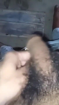 Sexy Video