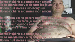 Caressonnous: Dobrý večer miláčku!