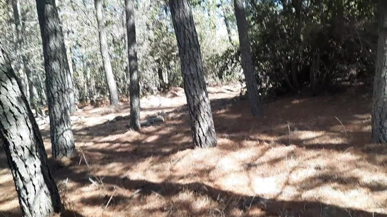 Riderqueen: Stiefmutter, arsch-anbetung im wald