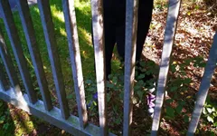 Druk met haar tieten op veel schurende thgings en sla dan