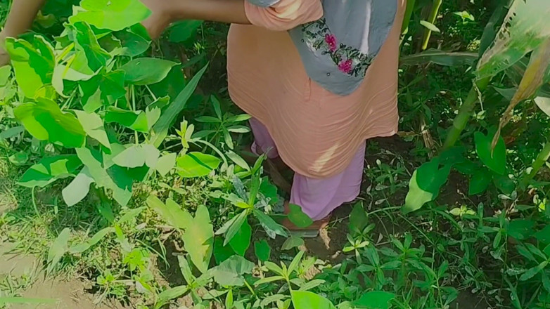 Deshi women: La giungla desi chudai del Gaon mein mangal
