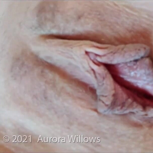 Aurora Willows: My big fat pussy lips