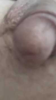 Close-up