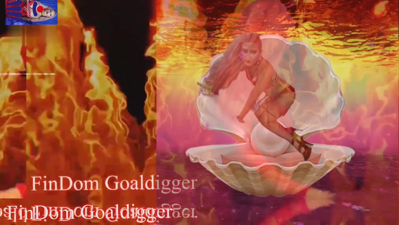 FinDom Goaldigger: Niedriger IQ