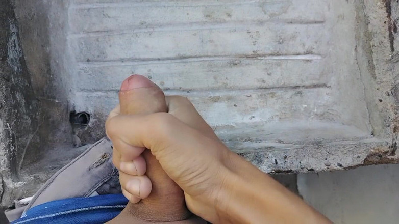 WolfGV: Ранок, щоб почати день