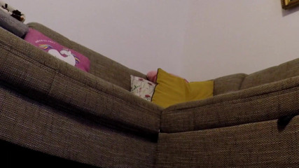 No panties TV: 足を広げて下着なしで本を読む
