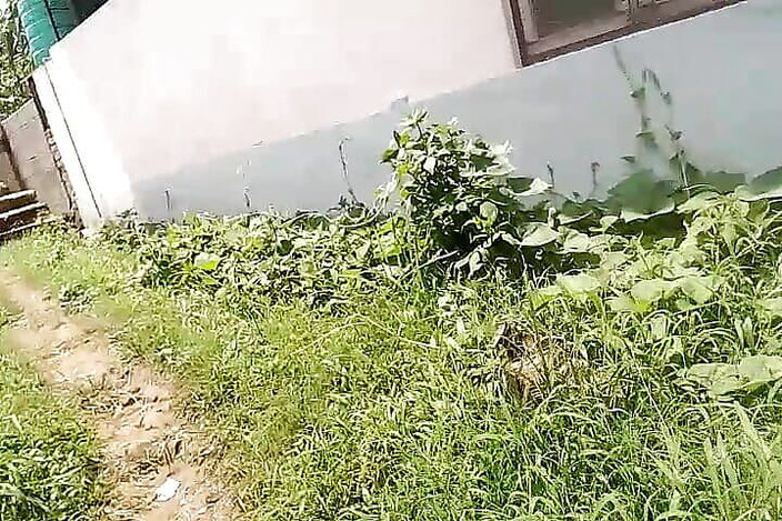 Gangbang straight: Went Into the Room and Saw the Girl Massaging Herself...