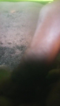 My Hairy Black Dick Need Some Shaving