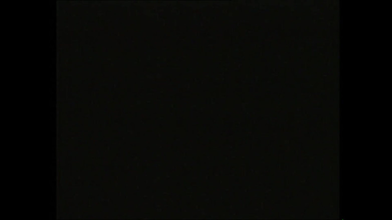 Deutschland porn: Folosit după cum se dorește