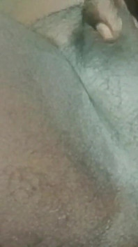 My Videos