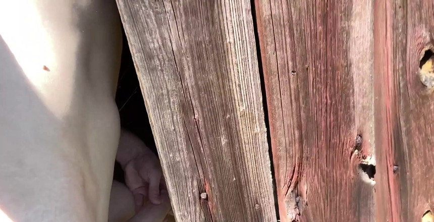 JohannWood: Barn ini cocok banget untuk video masa depan!