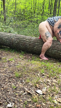 Pepek menggembirakan balak pokok memancut babi gemuk