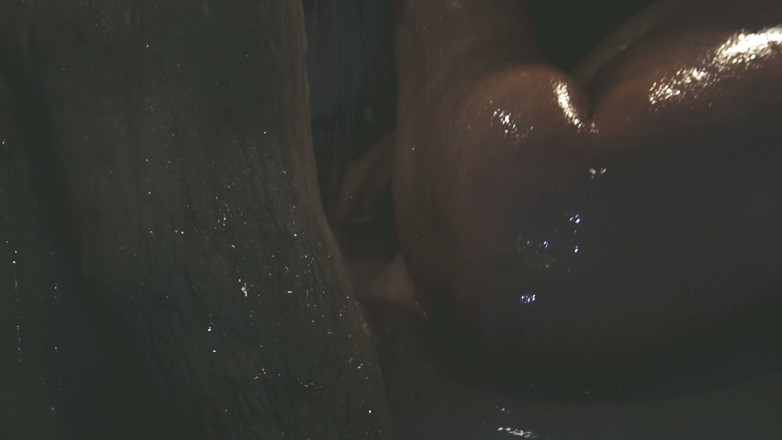 Harry River: Shared Shower