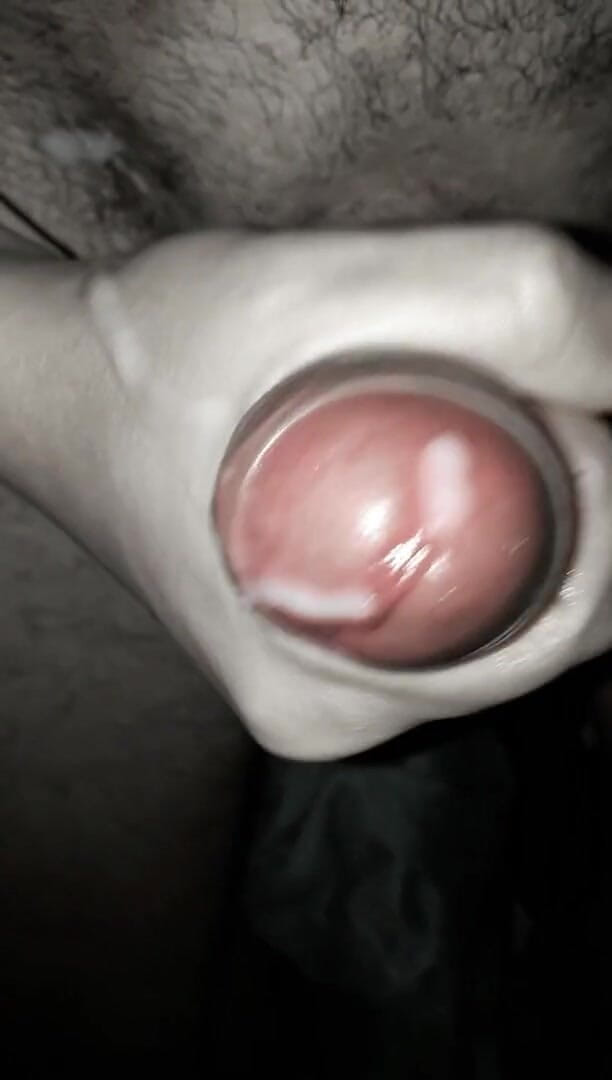 CACOFLORIPA: 내 자지를 2020년 7