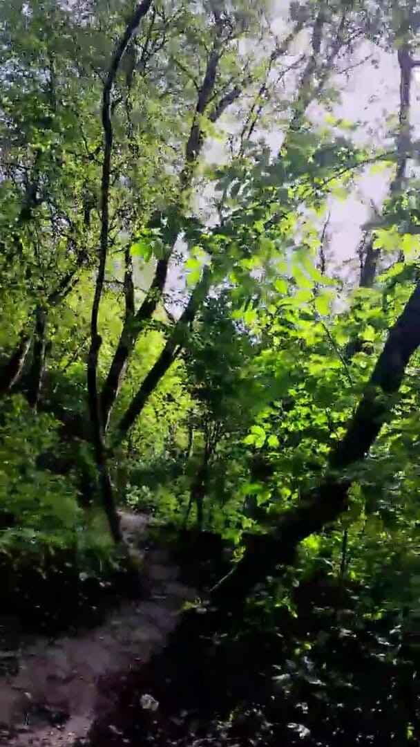 Slutboyben: Slutboyben Cam4 Awek Pelayaran Seksi Iii Pendedahan Langsung Di Luar