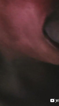 Big Dick in Her Small Mouth