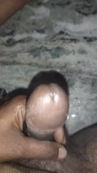 Desi Bat