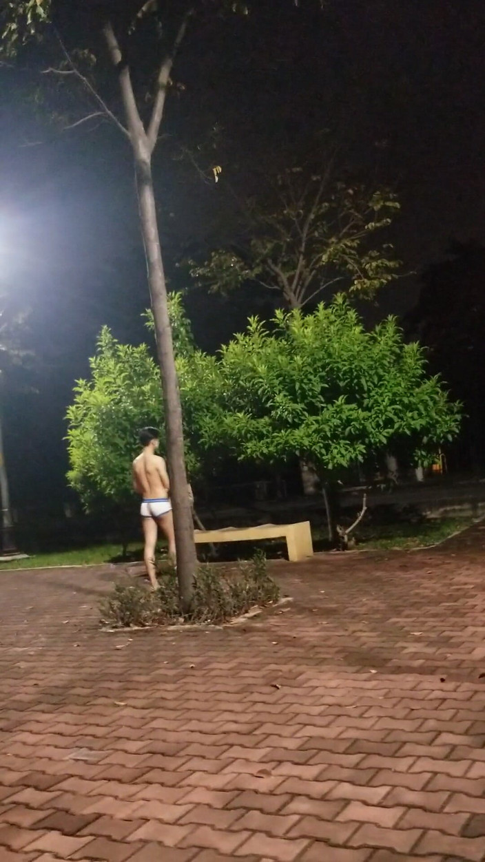 OSIndexerSmart: Tire a roupa fora do parque