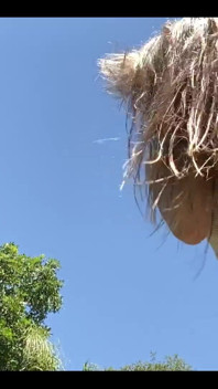 Shaking Out My Long Hair