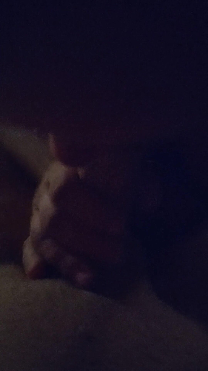 LilTaste: T4t Couple; Gawd, You Take My Cock so Good in...