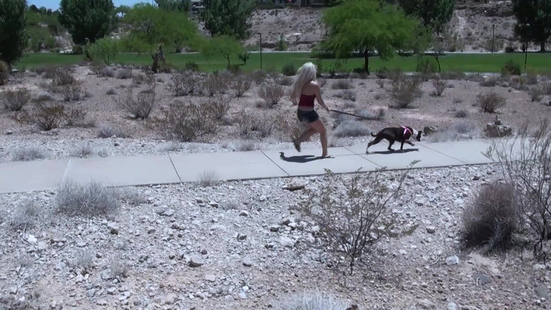 Lucky Cooch: アマチュアプライベートテープ