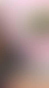 My Stepauntie Frida 2 dvd by BBvideo - DVD
