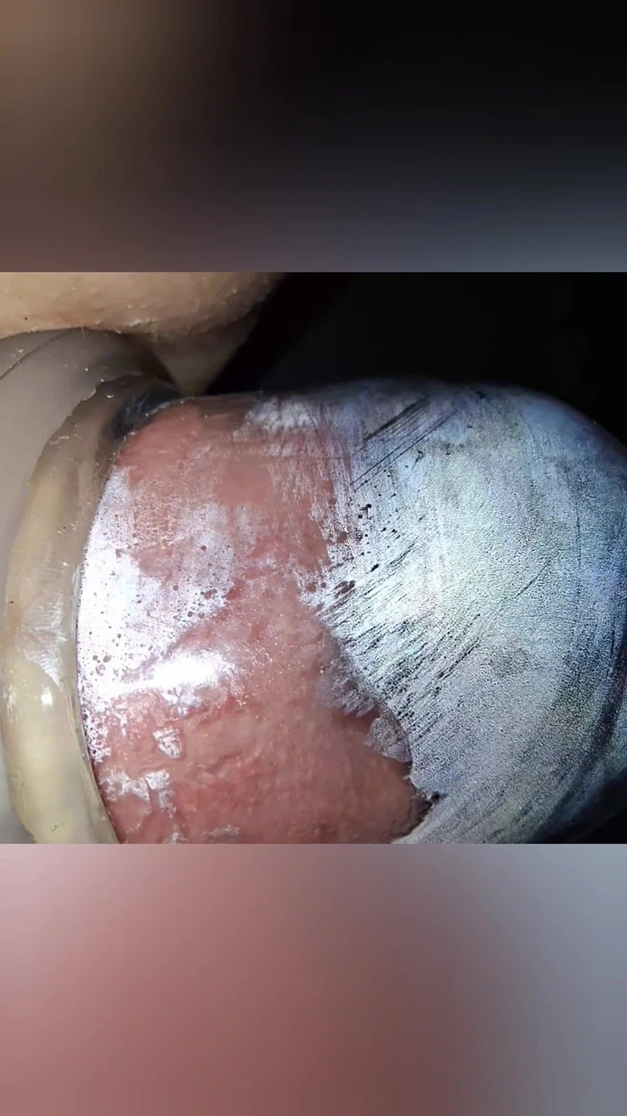 SklavinS_pervert: Slave Pumps up Her Cunt While Watching TV for Her...