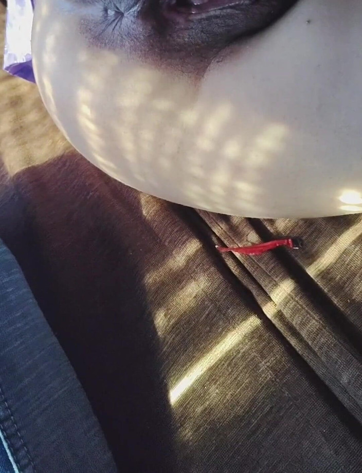 Khushboobhabi: Une fille donne un préservatif à un garçon dans un bus