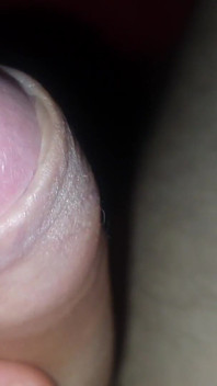 Dick Zoom