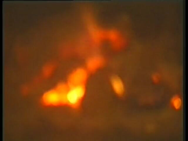 Forte porno TV xxx - (Just the best full movies): Chorobliwe wspomnienia