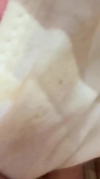 她今天尝起来像新鲜馅饼一样！谁喜欢品尝？