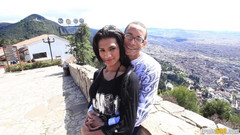 Trans 500: Průvodce ptákem