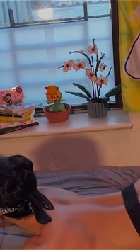 เอาล่ะ ไอ้บ้า